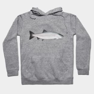 Pink Salmon - Ocean Phase Hoodie